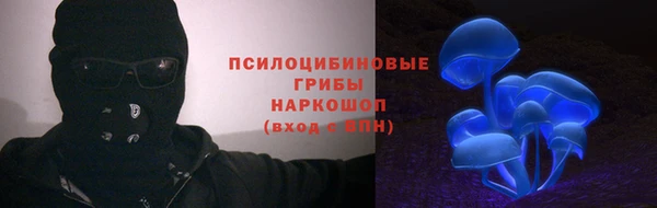 ПСИЛОЦИБИНОВЫЕ ГРИБЫ Алзамай