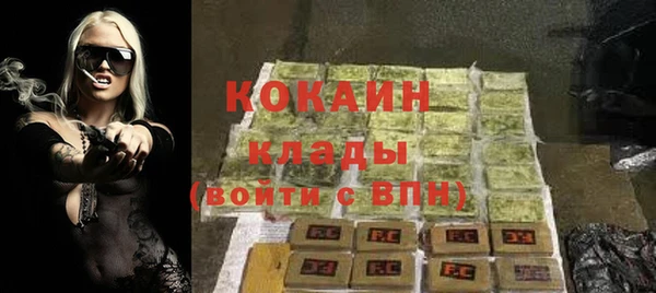 мет Алексин